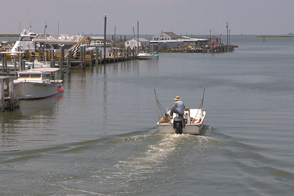 The Chesapeake’s Shrinking Isle