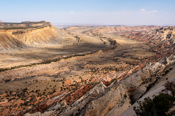 The Earth’s Massive Wrinkle