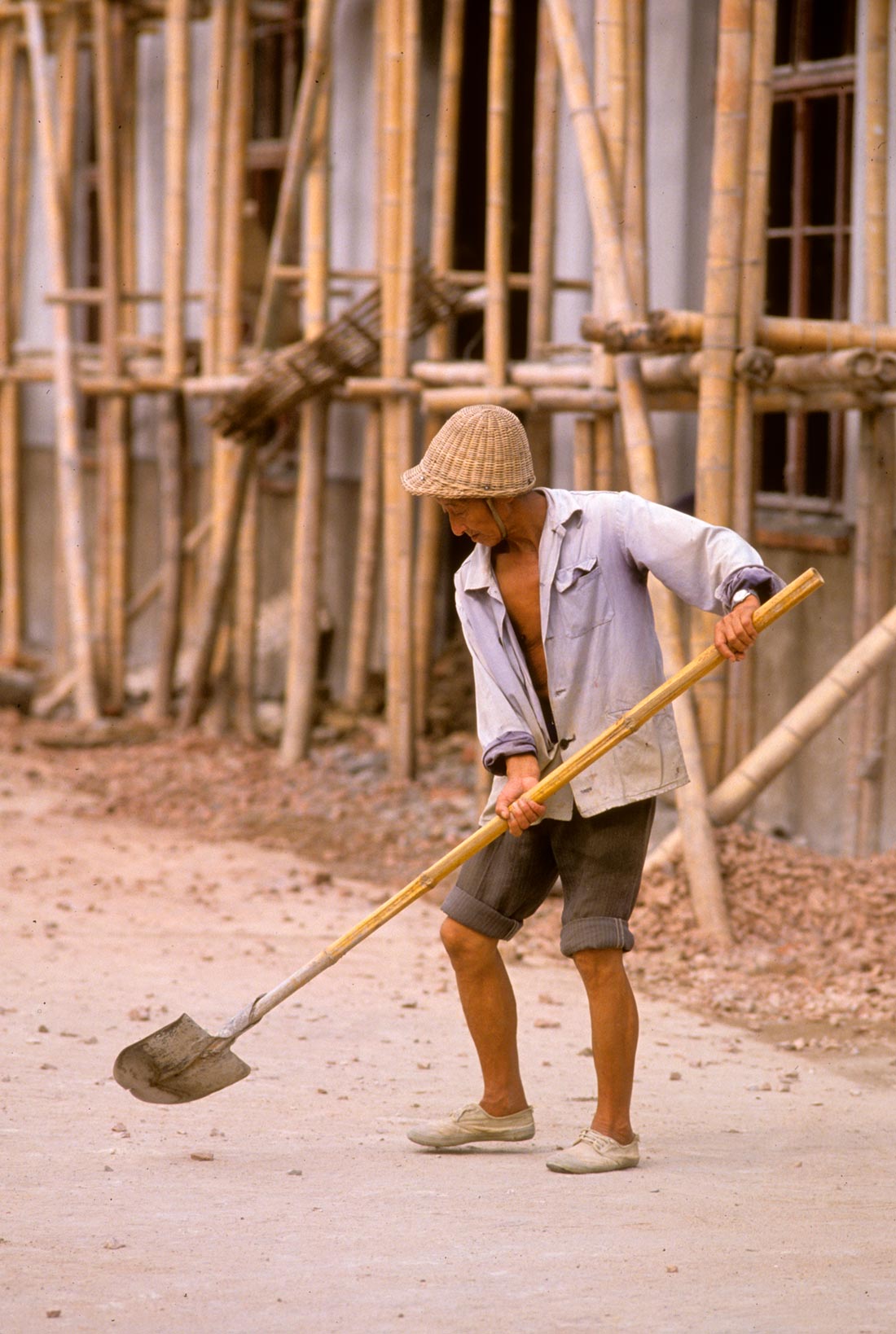 Bamboo A Sustainable, Biodegradable Alternative Hobble Creek