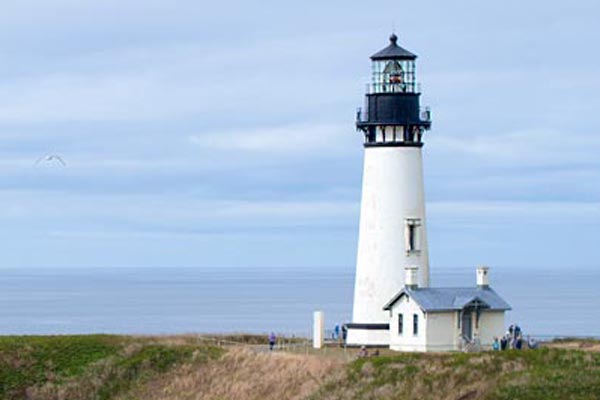 Lighthouse, Tide Pools and Seals