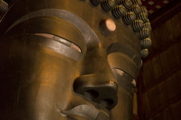 Giant Buddha, Giant Hall