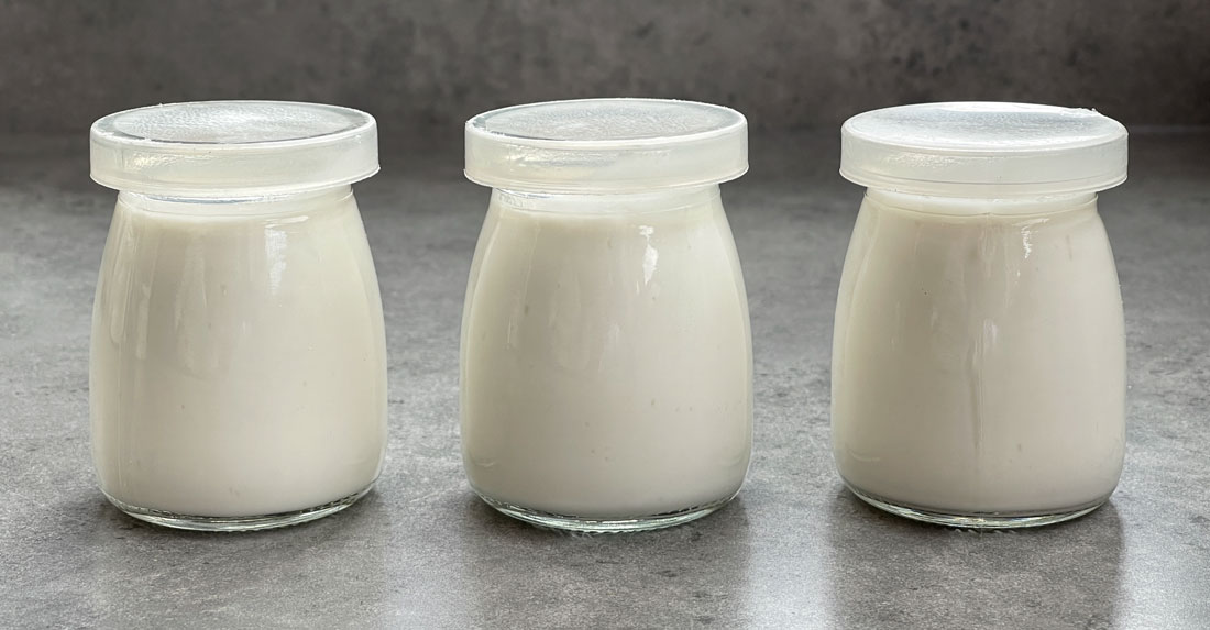 The Sustainable Culture of Yogurt Jars