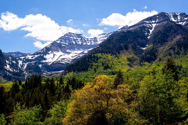 Springtime in the Rockies