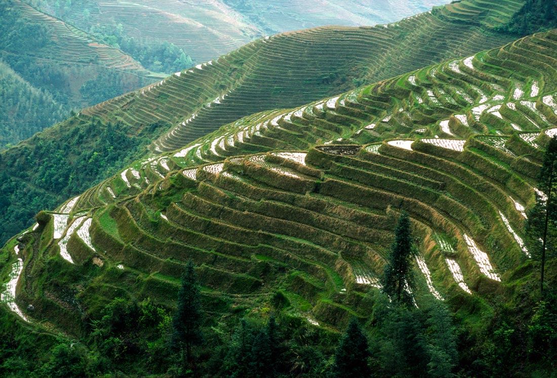 terraced-hills-guangxi-china